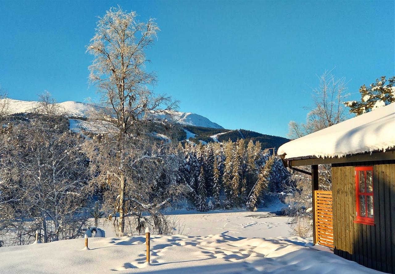 Trysil Hyttegrend Buitenkant foto