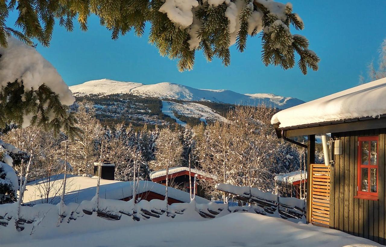 Trysil Hyttegrend Buitenkant foto