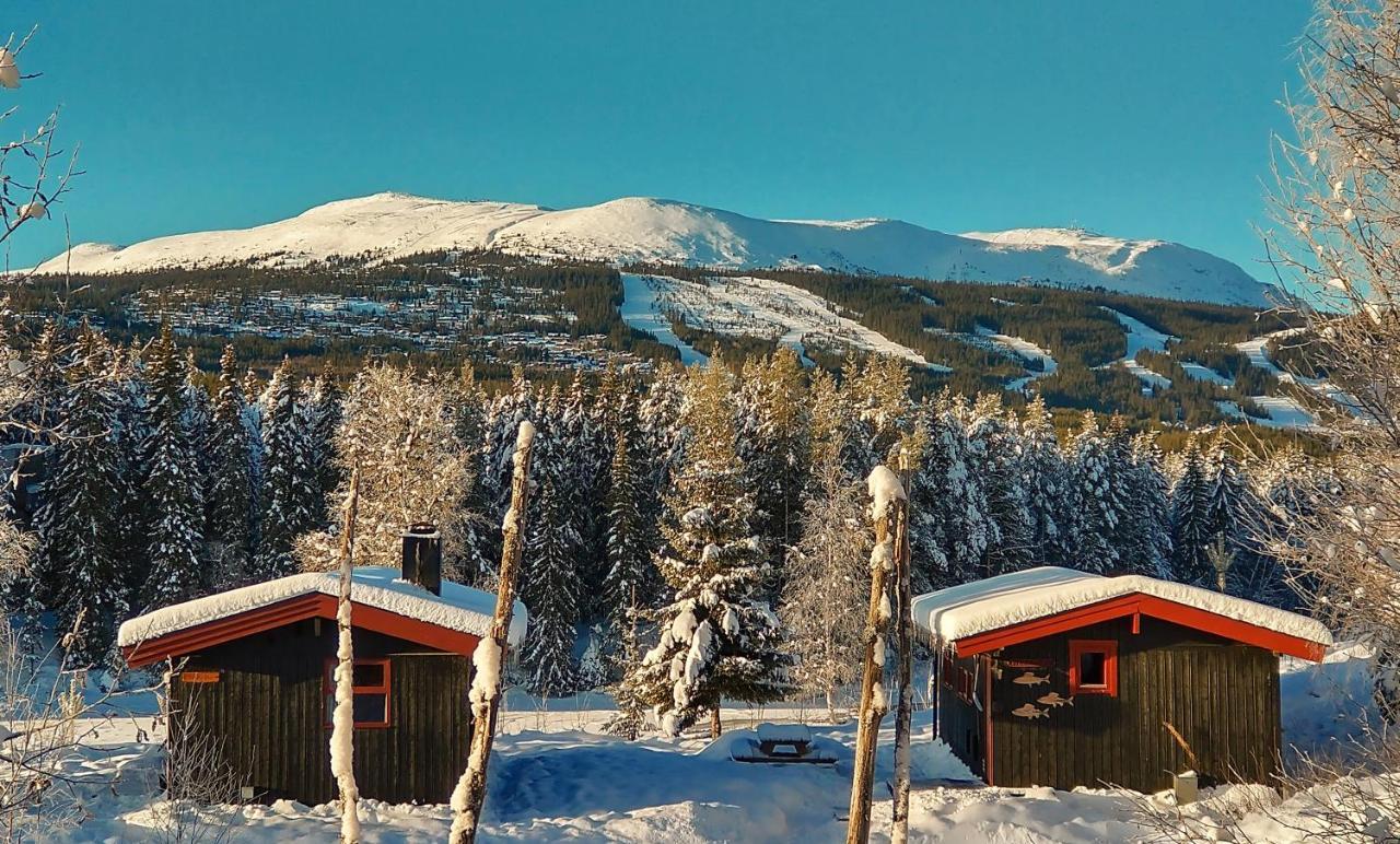 Trysil Hyttegrend Buitenkant foto