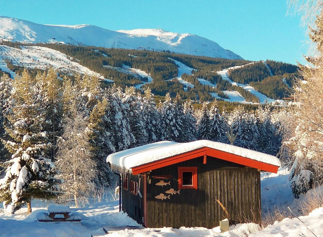 Trysil Hyttegrend Buitenkant foto
