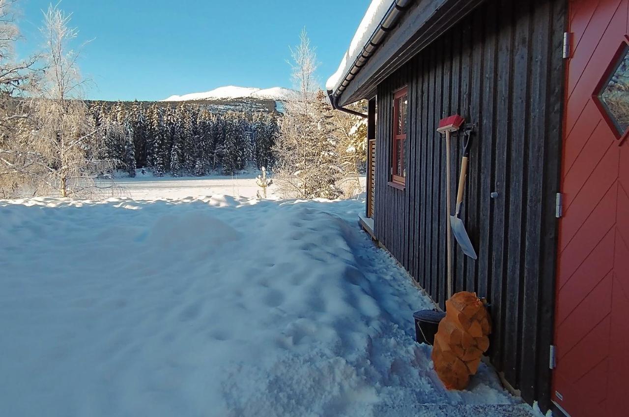 Trysil Hyttegrend Buitenkant foto