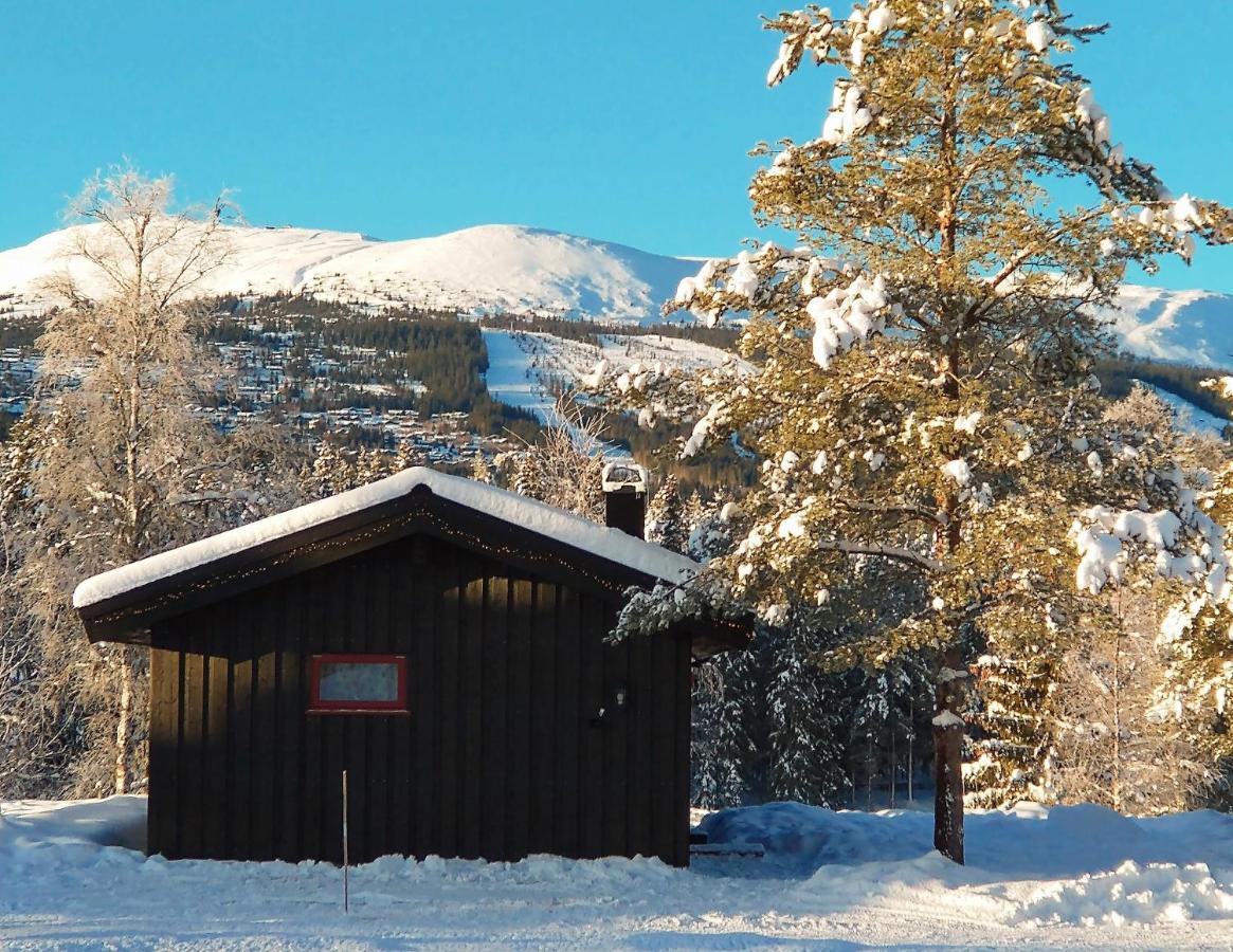 Trysil Hyttegrend Buitenkant foto