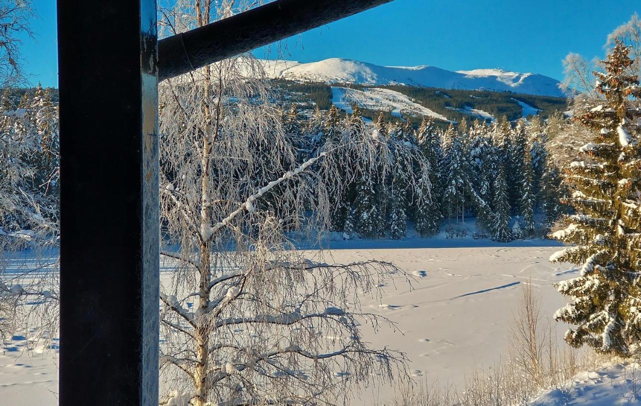 Trysil Hyttegrend Buitenkant foto