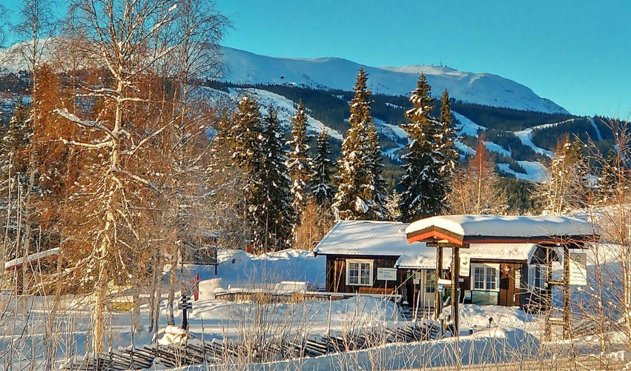 Trysil Hyttegrend Buitenkant foto