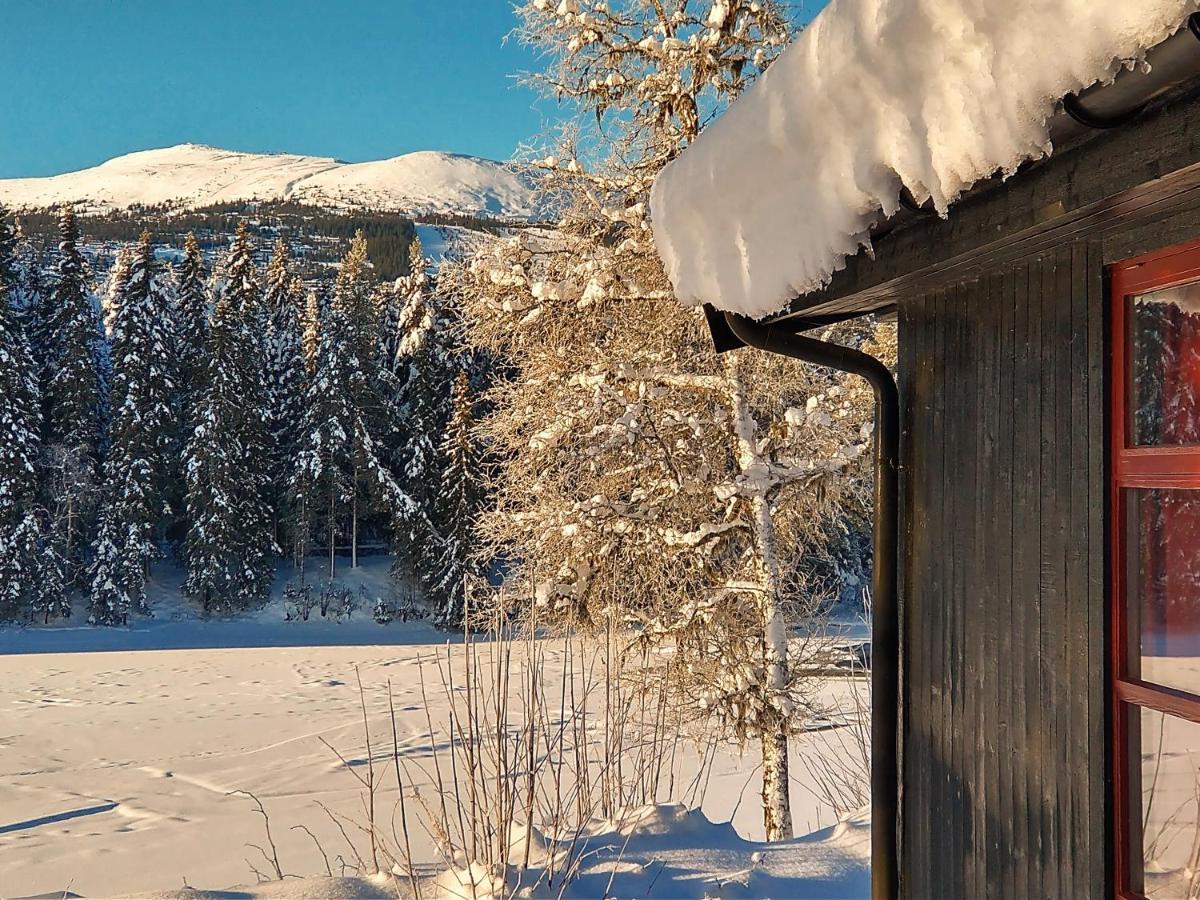 Trysil Hyttegrend Buitenkant foto