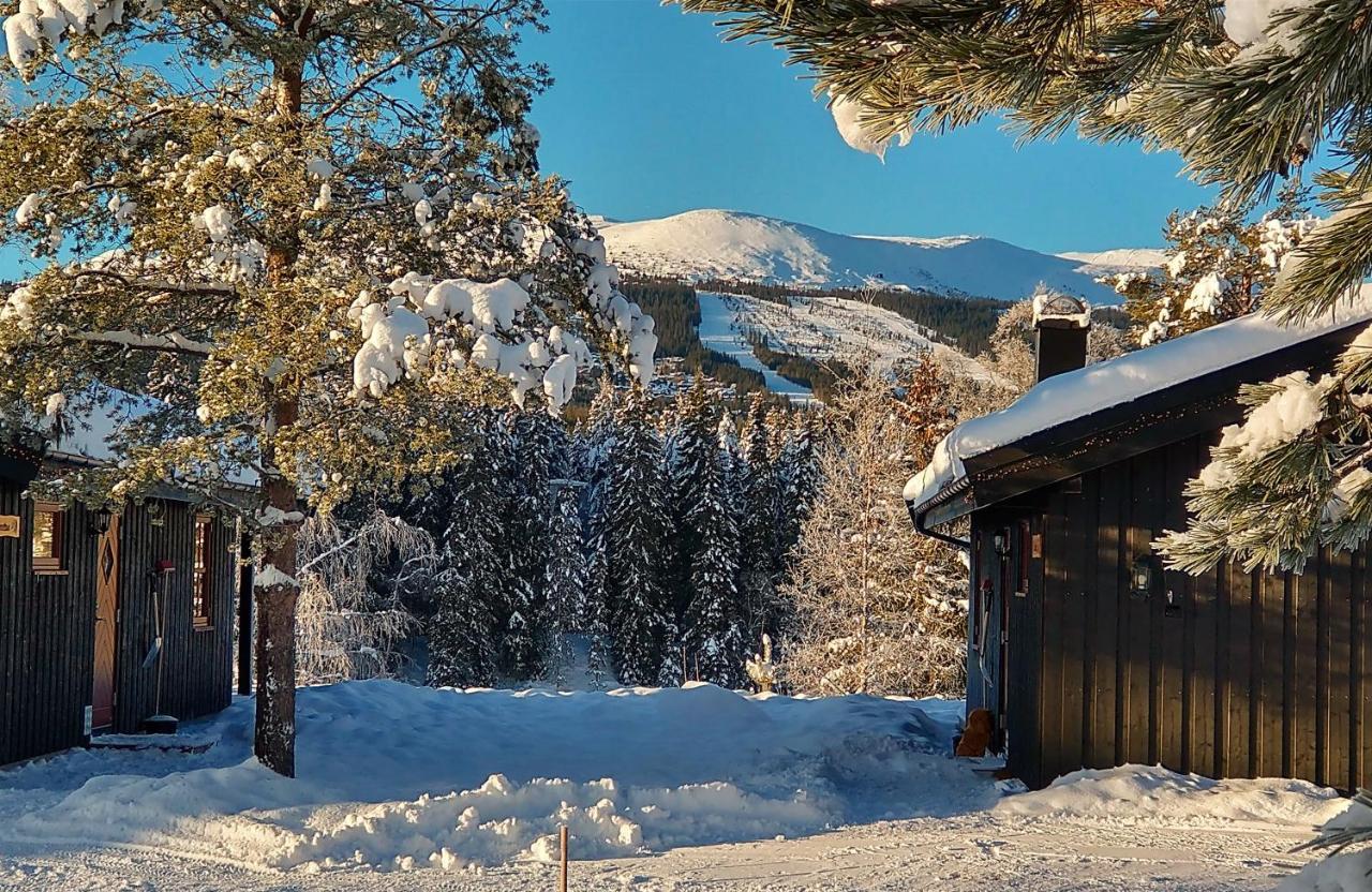 Trysil Hyttegrend Buitenkant foto