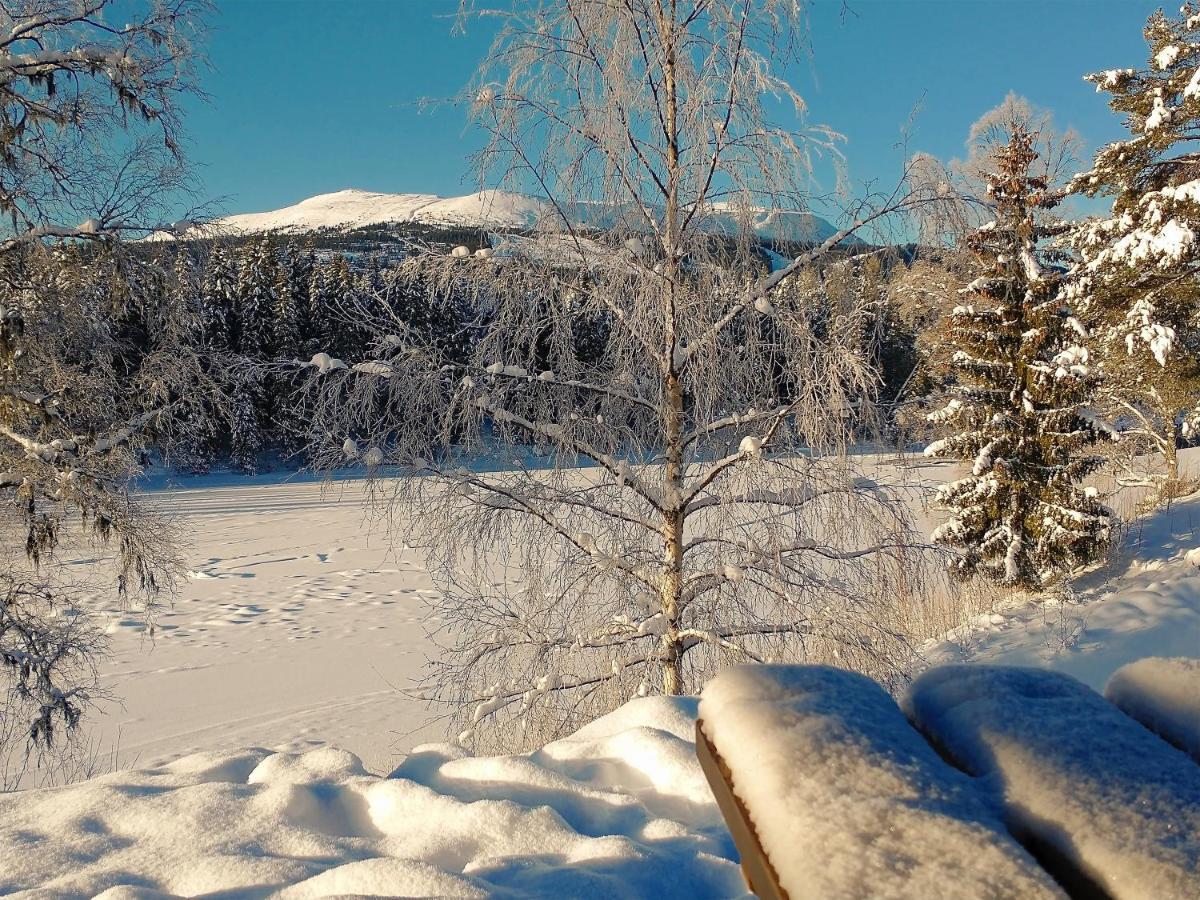 Trysil Hyttegrend Buitenkant foto