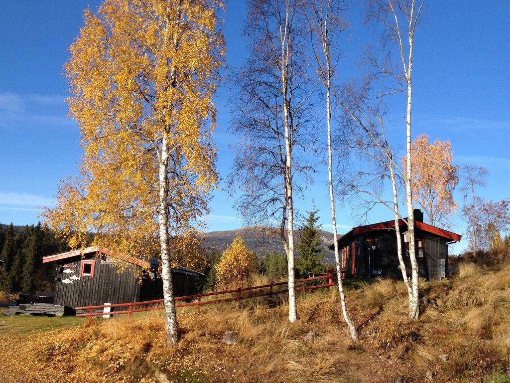 Trysil Hyttegrend Buitenkant foto