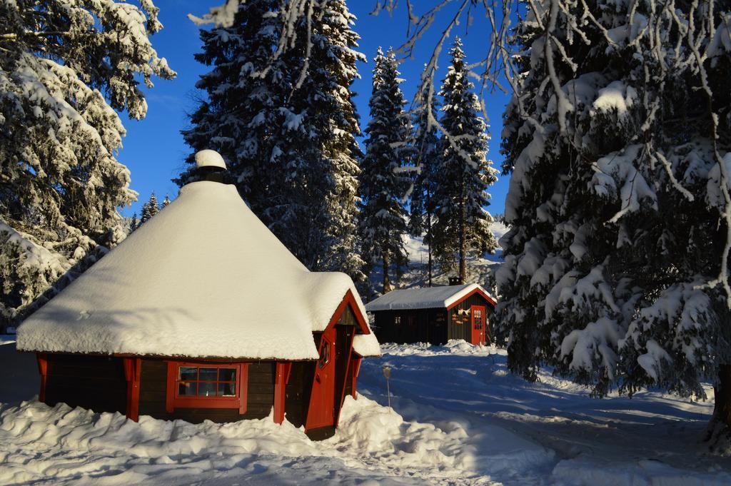 Trysil Hyttegrend Buitenkant foto