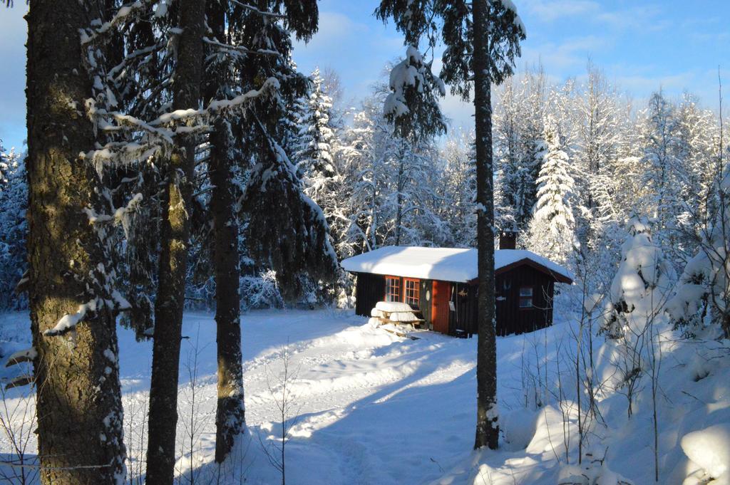 Trysil Hyttegrend Buitenkant foto