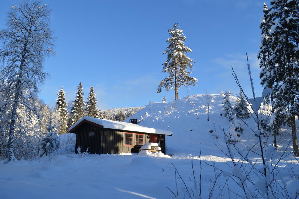 Trysil Hyttegrend Buitenkant foto