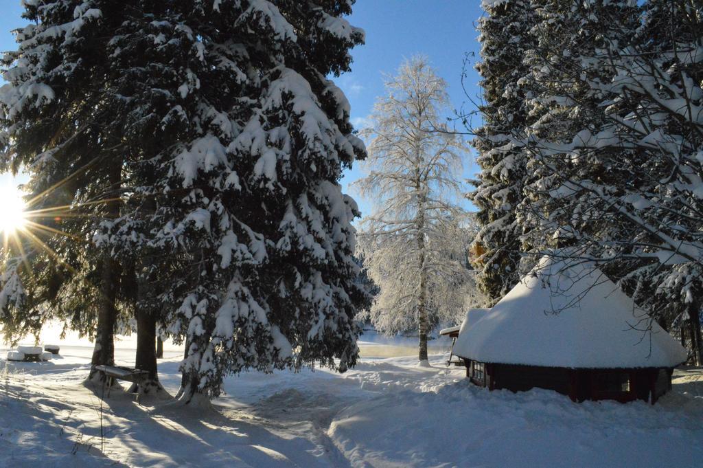 Trysil Hyttegrend Buitenkant foto