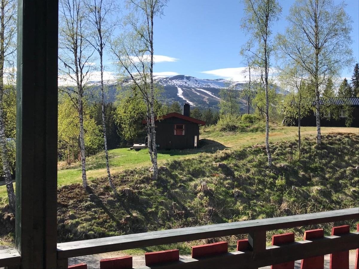 Trysil Hyttegrend Buitenkant foto